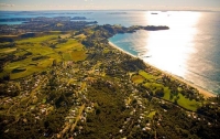 Aerial;Waiheke_Island;Oneroa;Ostend;Omiha;OnetangiBeach;Onetangi;Palm_Beach;vine