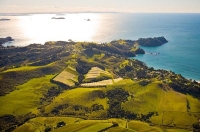 Aerial;Waiheke_Island;Oneroa;Ostend;Omiha;OnetangiBeach;Onetangi;Palm_Beach;vine