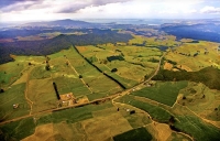 Rotorua;Bay_of_Plenty;Waikato;Lake_Rotorua;tourists;visitor_centre;boat_harbour;