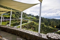 Skyline_Gondola;Luge_track;Rotorua;Lake_Rotorua