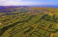 Aerial;Te_Puke;Bay_of_plenty;kiwi_fruit_orchards;kiwi_fruit;kiwi_fruit_growing;a
