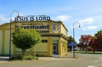 Te_Puke;Bay_of_plenty;kiwi_fruit_orchards;kiwi_fruit;kiwi_fruit_growing;agricult