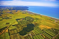 Aerial;Waihi_Beach;Bay_of_plenty;kiwi_fruit_orchards;kiwi_fruit;kiwi_fruit_growi