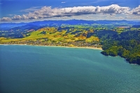 Aerial;Waihi_Beach;Bay_of_plenty;kiwi_fruit_orchards;kiwi_fruit;kiwi_fruit_growi