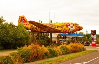 Mangaweka;Rangitikei_Region;bush;native_forrest;Rangitikei_River;autumn_colours;