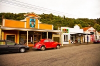 Mangaweka;Rangitikei_Region;bush;native_forrest;Rangitikei_River;autumn_colours;