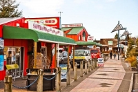 Ohakune;Tongariro_National_Park;Timber;timber_industry;river;Trout_Fishing;Tonga