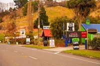 Taihape;Rangitikei_Region;bush;native_forrest;Rangitikei_River;autumn_colours;fa