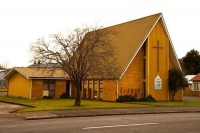 Taihape;Rangitikei_Region;bush;native_forrest;Moawhango_River;autumn_colours;fal