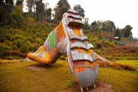 Taihape;Rangitikei_Region;bush;native_forrest;Moawhango_River;autumn_colours;fal