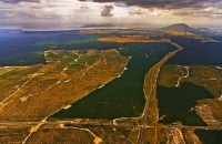 Taupo;Trout_Fishing;South_Waikato;Lake_Taupo;Waikato_river;jet_boating;tourists;