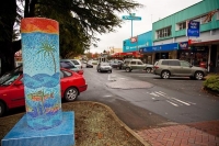 Tokoroa;South_Waikato;agricultural;agricultural_centre;Timber;timber_industry;Ro