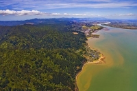 Aerial;Thames;Coromandel;sandy_beaches;bachs;holiday_homes;blue_sky;blue_sea;bus