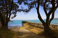 Hicks_Bay;bluffs;cliffs;rocky_shorelines;sea_fishing;bush;mountains;bush;native_