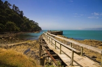 Hicks_Bay;bluffs;cliffs;rocky_shorelines;sea_fishing;bush;mountains;bush;native_