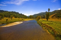 Hicks_Bay;bluffs;cliffs;rocky_shorelines;sea_fishing;bush;mountains;bush;native_