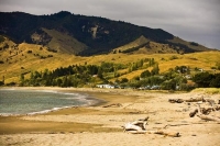 Tokomaru_Bay;Eastland;bush;native_forrest;golden_sands;bluffs;cliffs;wharf;churc