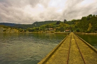 Tokomaru_Bay;Eastland;bush;native_forrest;golden_sands;bluffs;cliffs;wharf;The_W