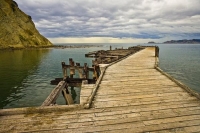 Tokomaru_Bay;Eastland;bush;native_forrest;golden_sands;bluffs;cliffs;wharf