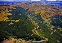 Aerial;Hawkes_Bay_Coast;bush;native_forrest;golden_sands;bluffs;River;cliffs;san