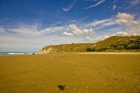 Hawkes_Bay_Coast;Porangahau;bush;native_forrest;golden_sands;bluffs;River;cliffs