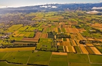 Aerial;Levin;Levin_Paddocks;Kapiti_Coast;golden_sand;horticulture;agriculture;ma