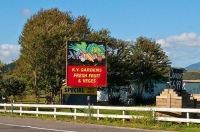 Levin;Kapiti_Coast;War_Memorial;horticulture;agriculture;market_gardens;Tararua_