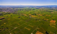 Aerial;Feilding;Manawatu;agriculture;agricultural_centre;agriculture;clock_tower