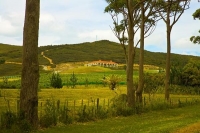 Karikari_Peninsula;Northland;Karikari_Estate_Vineyard;Karikari;Estate;Vineyard