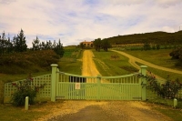 Karikari_Peninsula;Northland;Karikari_Estate_Vineyard;Karikari_Estate;Vineyard;d