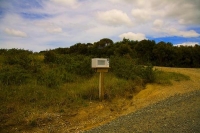 Karikari_Peninsula;Northland;Microwave_Letterbox;Microwave;Letterbox