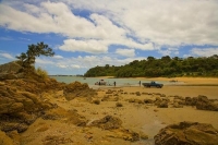 Karikari_Peninsula;Northland;Whatuwhiwhi_Beach;Boat_Launch;bush;native_forrest;s