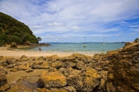Karikari_Peninsula;Northland;Collecting_shells;Whatuwhiwhi_Beach;moored_yachts;s