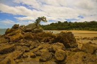 Karikari_Peninsula;Northland;Collecting_shells;Whatuwhiwhi_Beach;moored_yachts;s