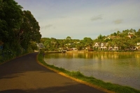 Mangonui;Northland;sandy_beaches;bachs;holiday_homes;bush;native_forrest;golden_