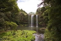Whangarei;Northland;waterfall;Whangarei_Falls;bush;native_forrest