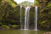 Whangarei;Northland;waterfall;Whangarei_Falls;bush;native_forrest