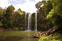 Whangarei;Northland;waterfall;Whangarei_Falls;bush;native_forrest