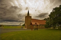 Matakohe;Rodney;Kaipara_Harbour;Kaipara;Kauri_Museum;Museum_Kauri;Gum;Kauri_Gum;