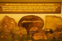 Matakohe;Rodney;Kaipara_Harbour;Kaipara;Kauri_Museum;Museum_Kauri;Gum;Kauri_Gum;