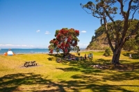 Wenderholme;Rodney;East_Coast;sandy_beaches;rocky_shorelines;River;Rivers;bush;n
