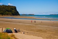 Wenderholme;Rodney;East_Coast;sandy_beaches;rocky_shorelines;River;Rivers;bush;n
