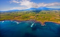 Aerial;Cape_Egmont_Region;Cape_Egmont;River;Rivers;bush;native_forrest;landscape