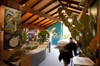 Dawson_Falls;Taranaki;Mount_Taranaki;Mount_Egmont;River;Rivers;bush;native_forre