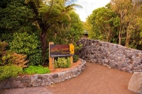 Hallard_Gardens;Taranaki;Mount_Taranaki;Mount_Egmont;landscape;Hallard;Gardens;E