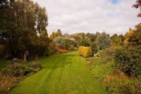 Hallard_Gardens;Taranaki;Mount_Taranaki;Mount_Egmont;landscape;Hallard;Gardens;G