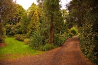 Hallard_Gardens;Taranaki;Mount_Taranaki;Mount_Egmont;landscape;Hallard;Gardens;G
