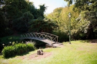 Eltham;South_Taranaki;Mount_Taranaki;Mount_Egmont;dairy;dairy_farming;milk_produ