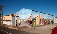 Eltham;Shed_Mural;South_Taranaki;Mount_Taranaki;Mount_Egmont;dairy;dairy_farming