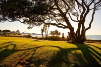 New_Plymouth;Taranaki;Down_Town;Coastal_Walkway;contra_jour;back_light;dog_walki